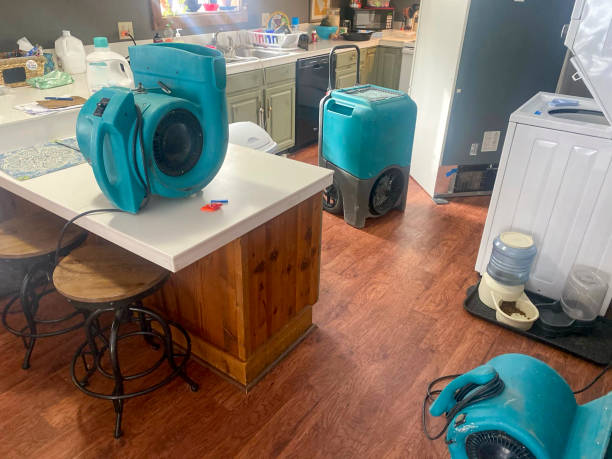 Best Flooded house restoration  in Biglerville, PA