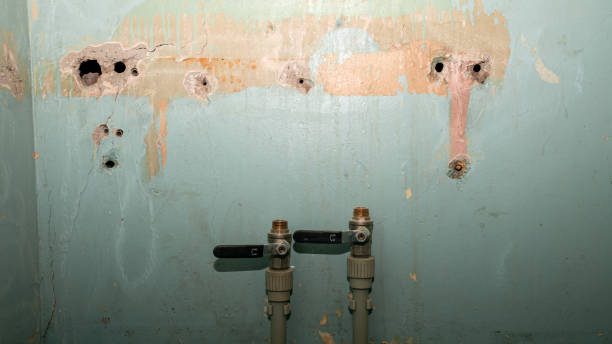 Best Fire Damage Restoration  in Biglerville, PA